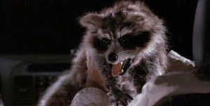 rabid coon datehookupcom
