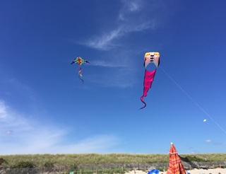 kite